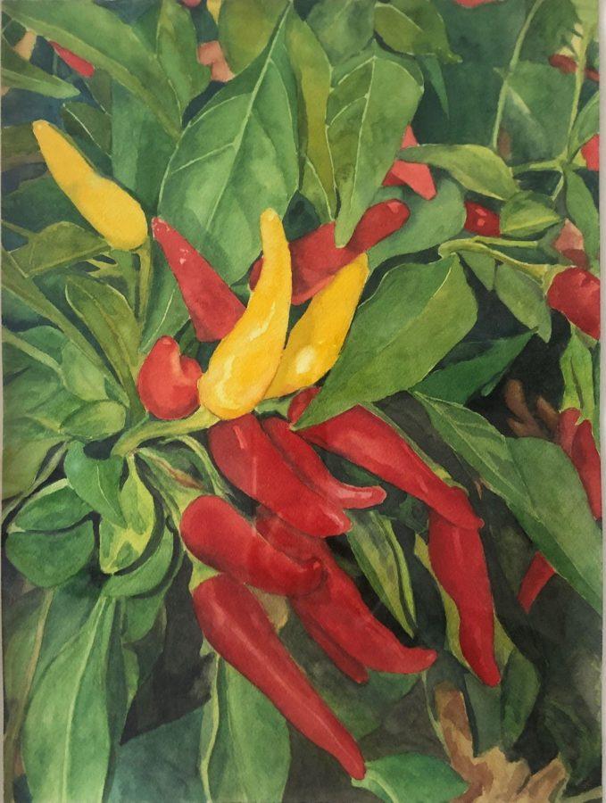 Art teacher, Stephanie Woshner’s watercolor painting, titled “Grandpap’s Garden”. Woshner’s painting was chosen to be displayed at The Museum of the Shenandoah Valley.