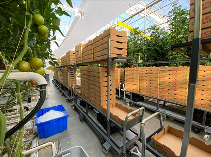 Red Sun Farms, Vertical Greenhouse located in Dublin, VA