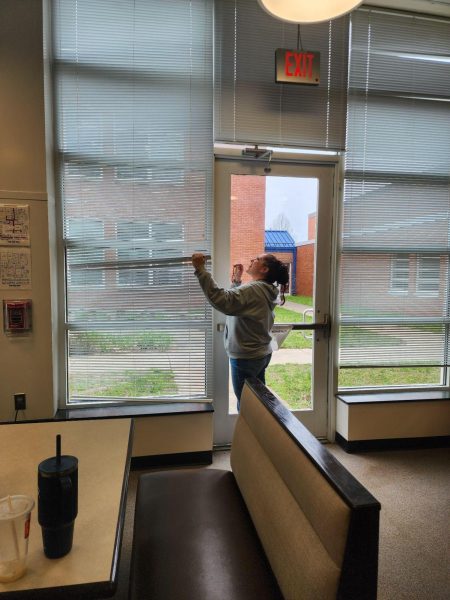 Melinda Shingler attempts to coax a wasp out of the library during her planning block. Despite efforts, the wasp remained in the school and attacked several students as they tried to check out books from the library. 