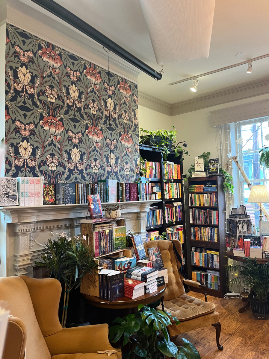 Several books fill the shelves and tables at the front of the Birch Bookstore. Further back into the building, more book genres are available as well as several plants or knick knacks for purchase.
