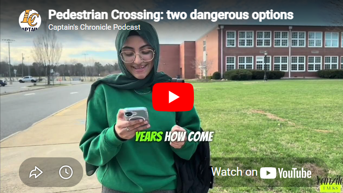 Screenshot of our video